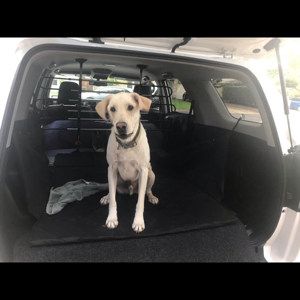 Meet your Posher, Chris